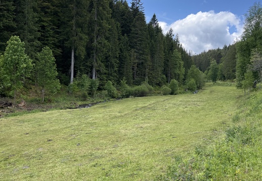 22-05-29 12-43-46 0963